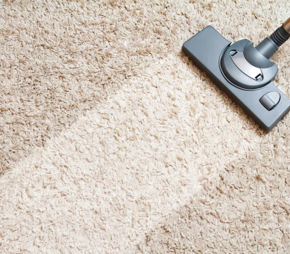 carpet-cleaning-zoomed-in