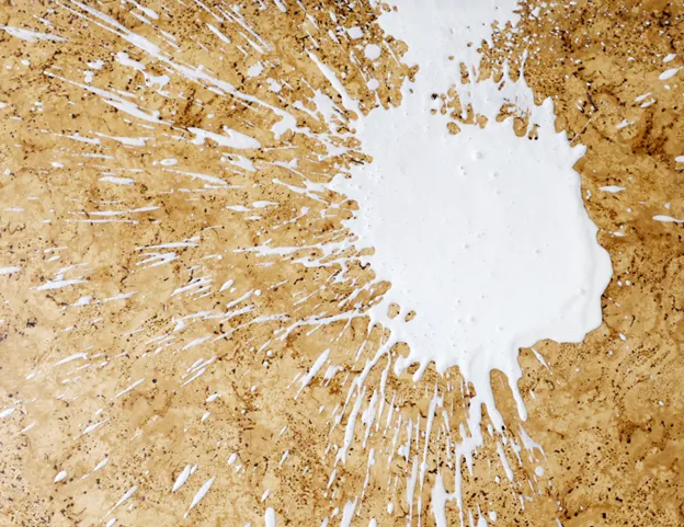 granite and marble need regular deep cleaning and sealing to stay pristine.