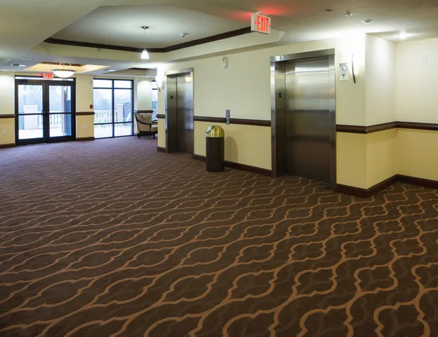 Why Commercial Carpet Cleaning Matters More Than You Think